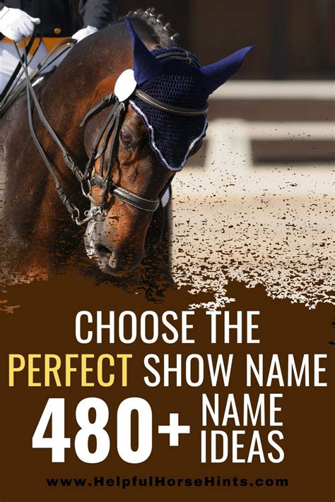 dressage horse show names